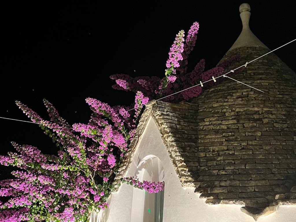 Trulli Harmonia Con Piscina - Альберобелло Екстер'єр фото